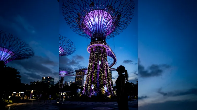 Gardens by the Bay Tickets: Prices, Combos & How to Book